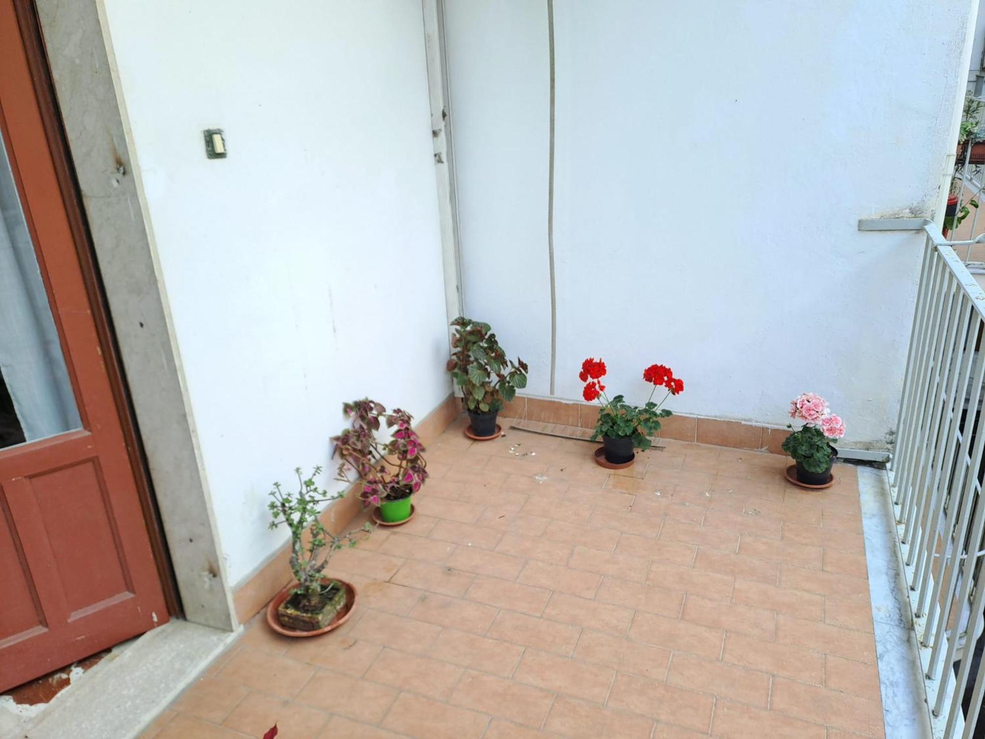 B&B Domus Pina CTA Exterior foto