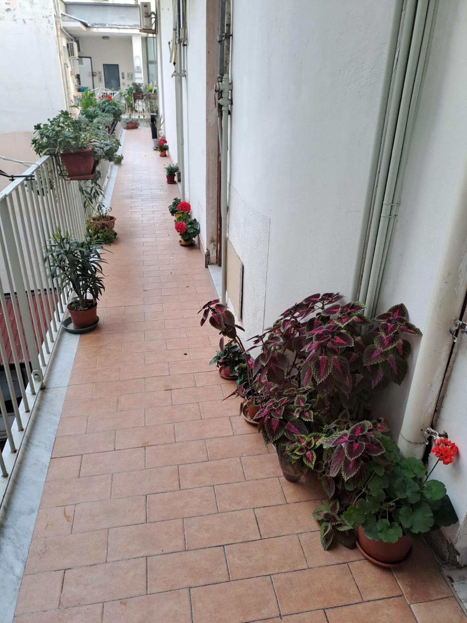 B&B Domus Pina CTA Exterior foto